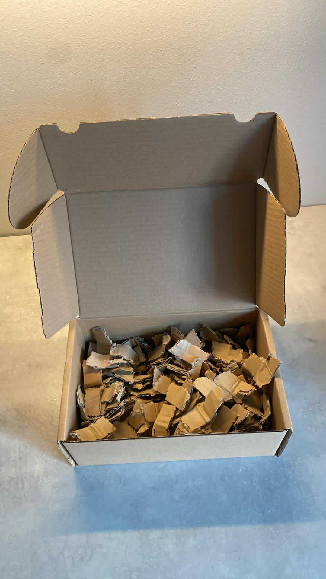 WELL-CHIPS