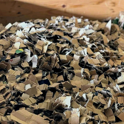 WELL-CHIPS